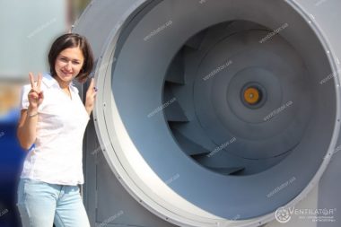 ВЦ 4-75 №12,5 с эл.двигателем АИР 200 L8 22 кВт 750 об./мин